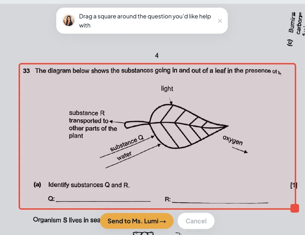 Dragging a selection box around a question on the canvas to ask Ms. Lumi
