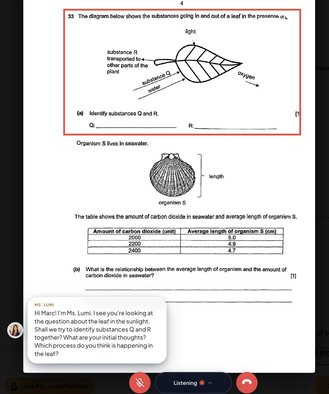 A live tutoring session with Ms. Lumi right on the digital worksheet canvas