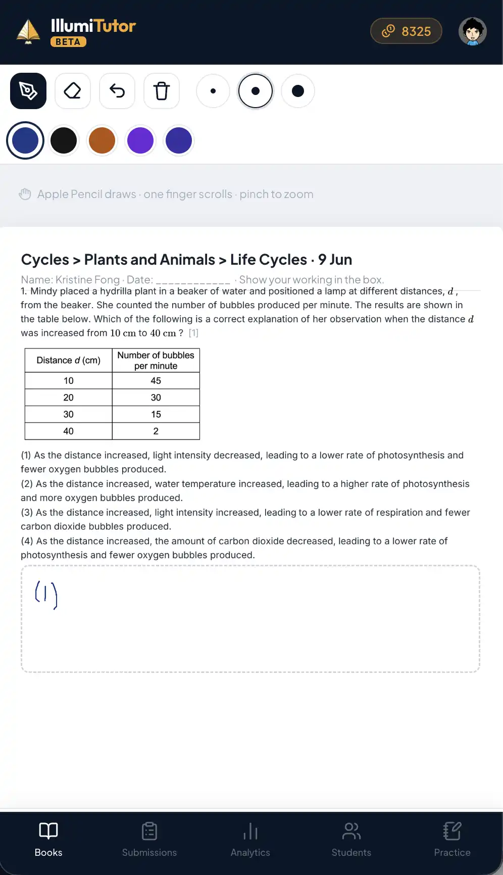 A completed practice worksheet ready to submit