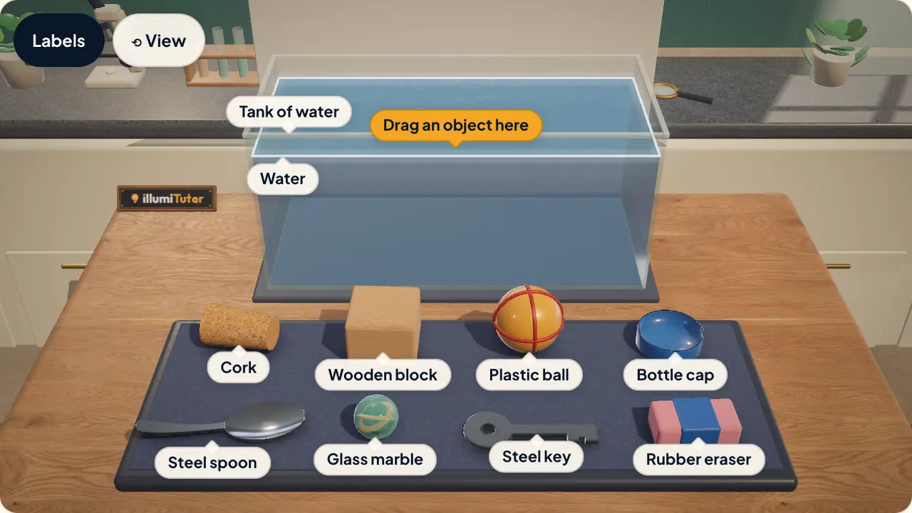 The 3D float or sink lab: a tank of water above a tray of objects to test, including a cork, a wooden block, a glass marble and a steel key