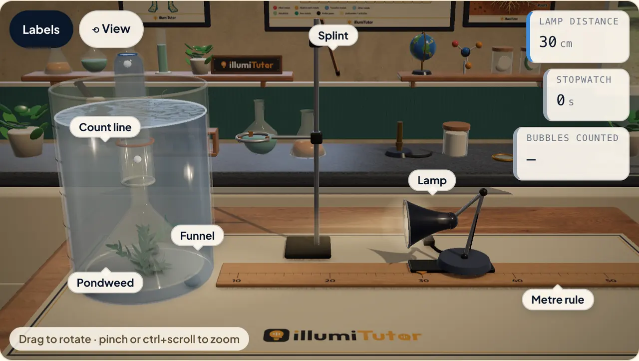 The 3D pondweed lab: pondweed under a funnel in a beaker of water, a lamp on a metre rule, and readouts for lamp distance, stopwatch and bubbles counted