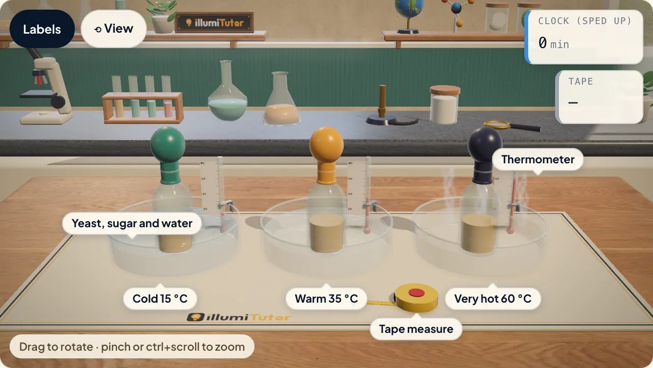 The 3D yeast lab: three bottles of yeast, sugar and water with balloons on top, standing in cold, warm and very hot water, with a tape measure