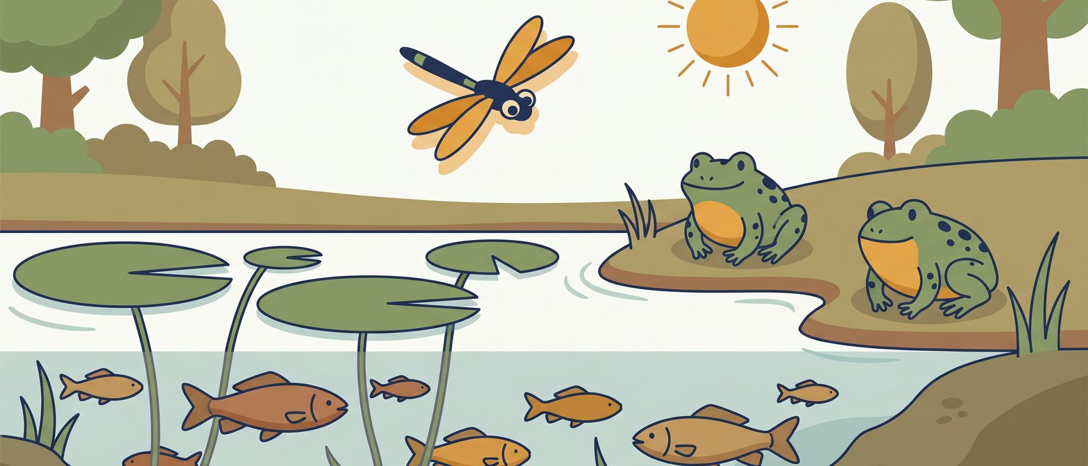 A flat-vector pond scene with fish, frogs, lily pads and dragonflies living together under a bright sky, illustrated in IllumiTutor navy and amber on an off-white background.